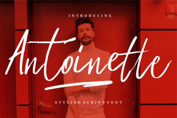 Antoinette: Elevating Design with Romantic Handwritten Charm