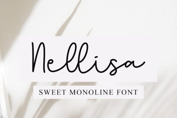 Discover Nellisa: The Sweet Monoline Script for Modern Design