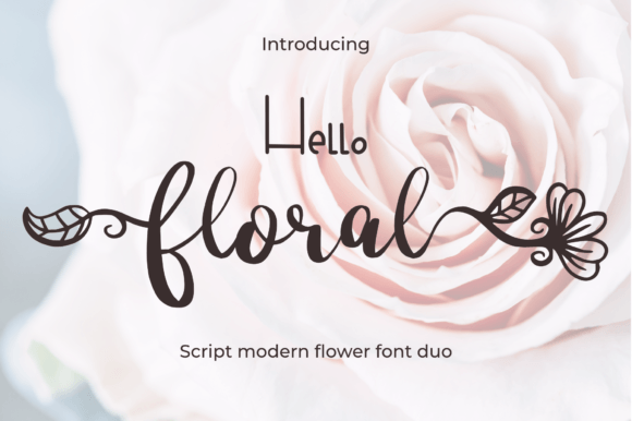 Hello Floral: A Modern Script Font for Elegant Design