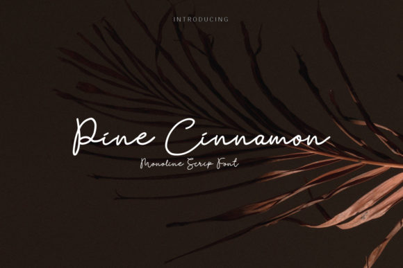 Pine Cinnamon: The Organic Script for Authentic Design