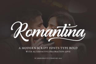 Romantina: Elevating Design with Modern Calligraphy